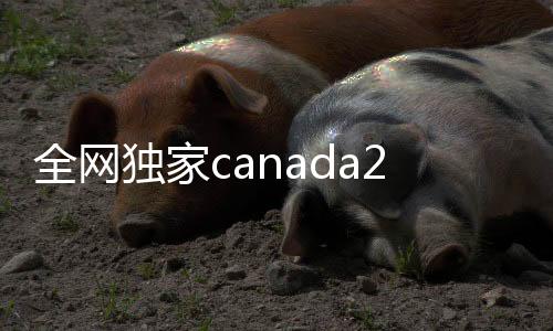 全网独家canada28预测28开奖网站刮奖回服务，24小时在线助力您的便捷交易