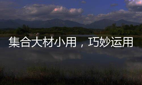 集合大材小用，巧妙运用资源优化策略提升企业效益