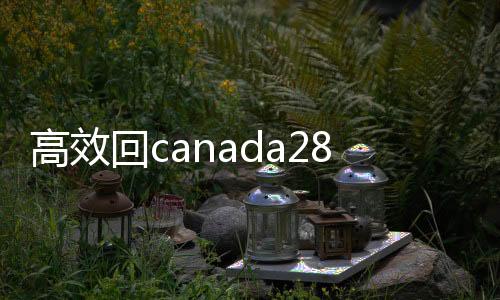 高效回canada28预测28开奖网站刮奖，轻松获取联系方式，助力您的社交拓展！